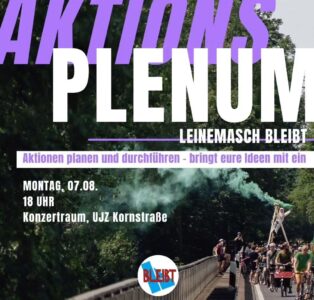 Aktionsplenum für die Leinemasch