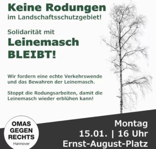 Keine Rodungen im Landschaftsschutzgebiet – Solidarität mit Leinemasch BLEIBT