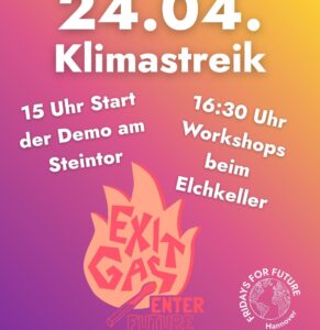 Klimastreik mit anschließenden Workshops
