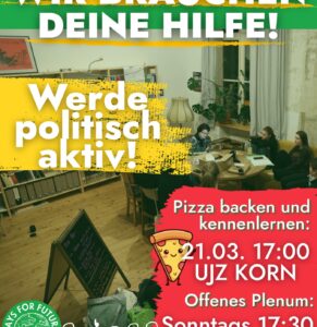 Offenes Plenum FFF