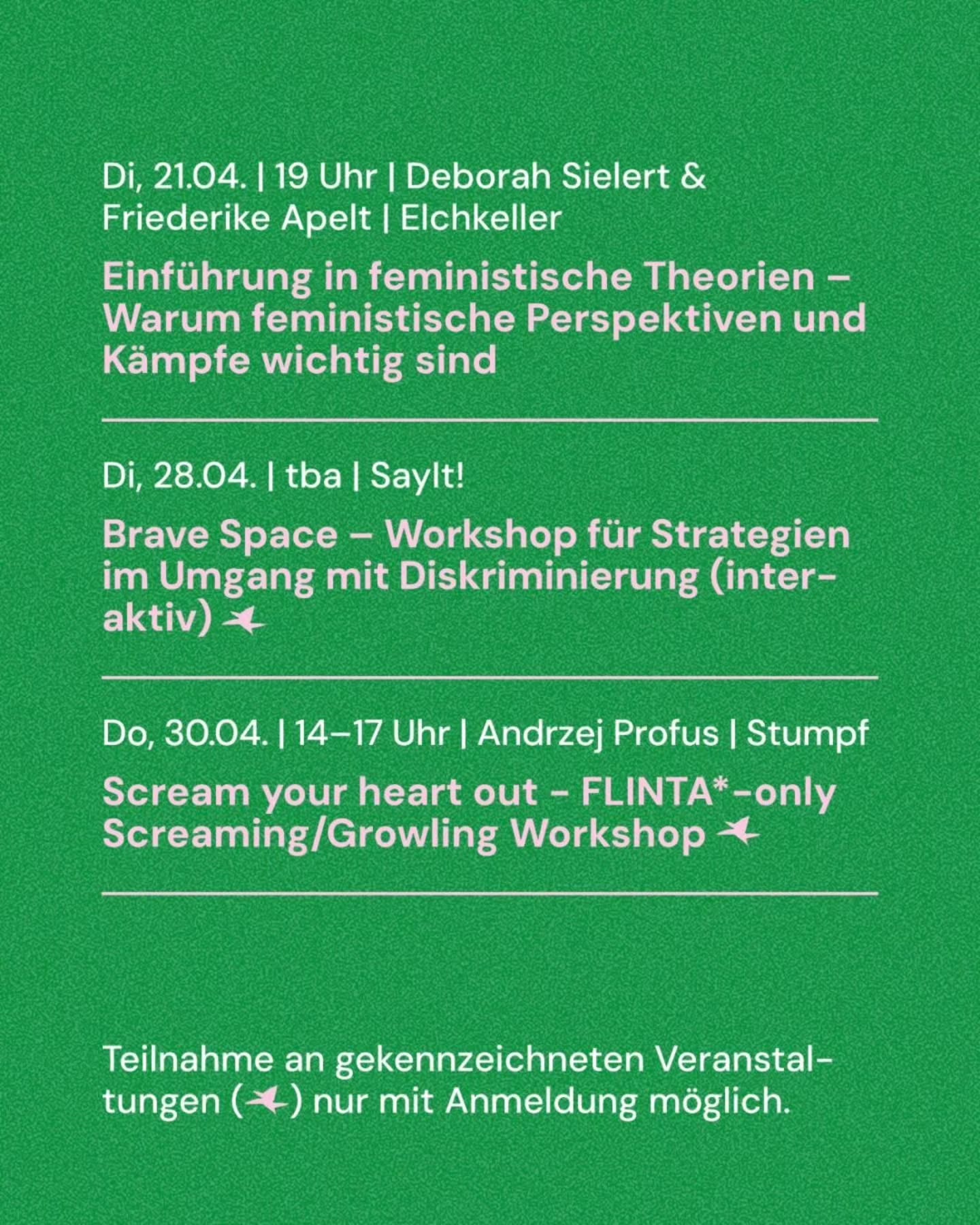 Einführung in feministische Theorien - Warum feministische Perspektiven und Kämpfe wichtig sind
