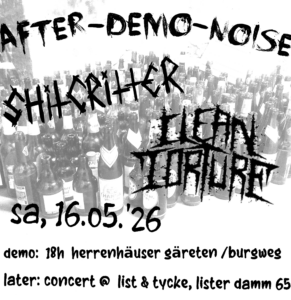 after-demo – noise